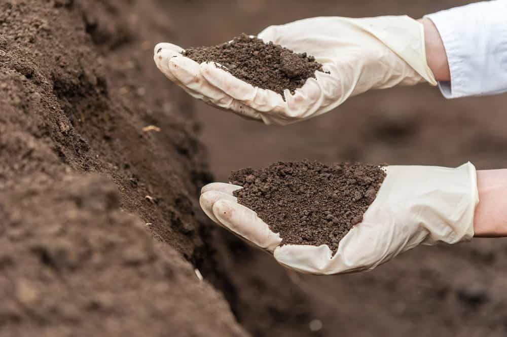 Sol à bonne capacité portante pour des fondations superficielles