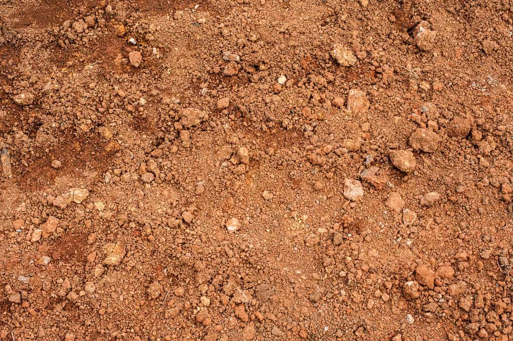 Terrain constructible étudié avant son achat